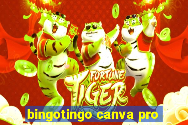 bingotingo canva pro